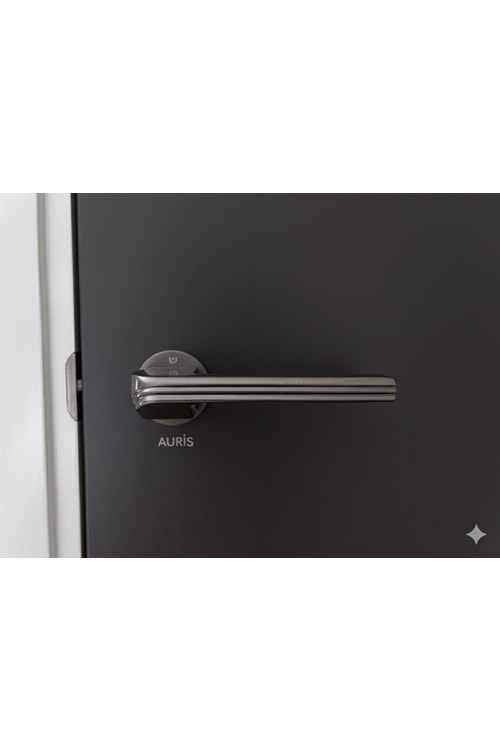 YÜKSEL AURİS İTALYAN KARE ROZETLİ FÜME WC KAPI KOLU